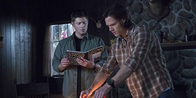 Poster der Serie Survival of the fittest