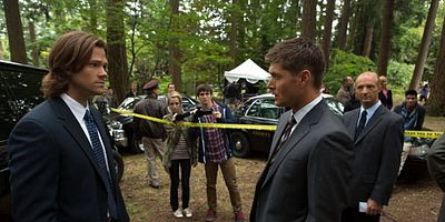 Poster der Serie Bitten