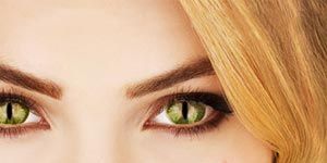 Poster der Serie All Apologies