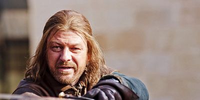 Poster der Serie Der Wolf und der Löwe