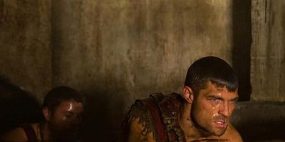 Poster der Serie Libertus