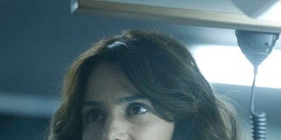 Poster der Serie The Fall