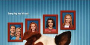 Poster der Serie Stan of the House