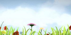 Poster der Serie La bouteille de Willy