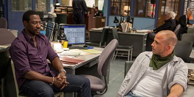 Poster der Serie Cat und ihr Chauffeur