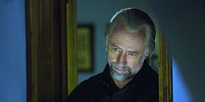 Poster der Serie Survivors