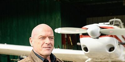 Poster der Serie Das Mädchen aus dem Wald