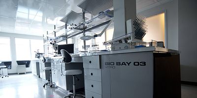 Poster der Serie Rules of the Game