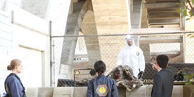 Poster der Serie The Purging of the Pundit