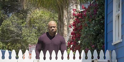 Poster der Serie Die Dinosaurier