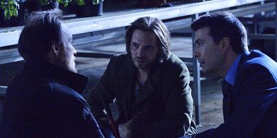 Poster der Serie The Red Forest