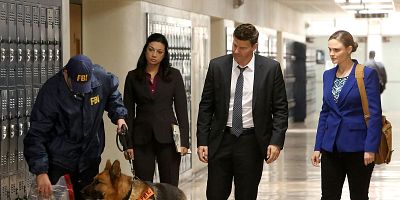 Poster der Serie The Teacher in the Books