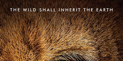 Poster der Serie Das Alphatier