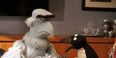 Poster der Serie Pig Girls Don't Cry