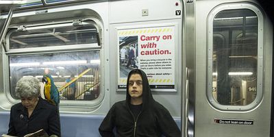 Poster der Serie eps1.7_wh1ter0se.m4v