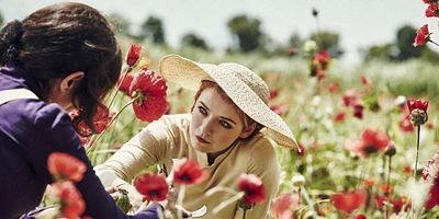 Poster der Serie Die Schlange verkriecht sich