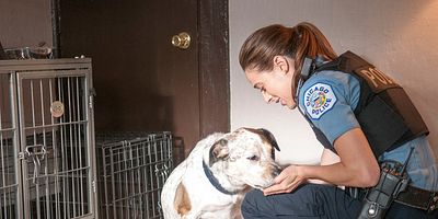 Poster der Serie Debts of the Past