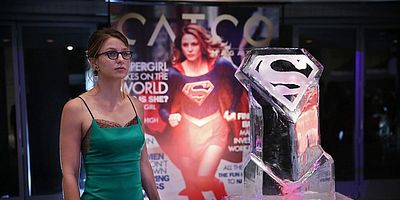 Poster der Serie Fight or Flight