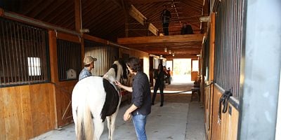 Poster der Serie Three's a Crowd