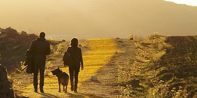 Poster der Serie The Beast Forever