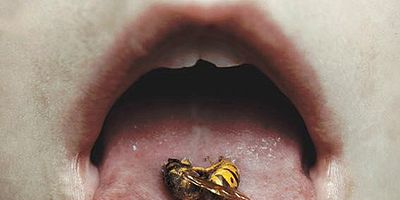 Poster der Serie The Dharma Burns