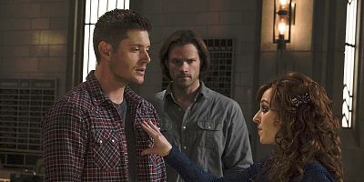 Poster der Serie Alpha and Omega