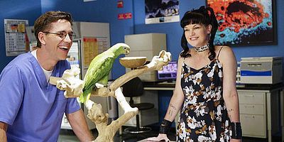 Poster der Serie Sturz vom Dach