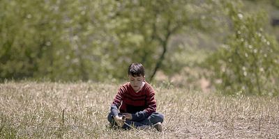 Poster der Serie Geh über die Planke!