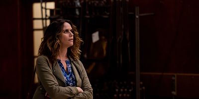 Poster der Serie Just the Facts