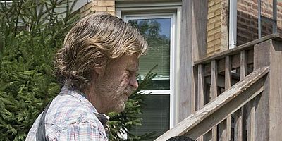 Poster der Serie Gerupfte Hühner