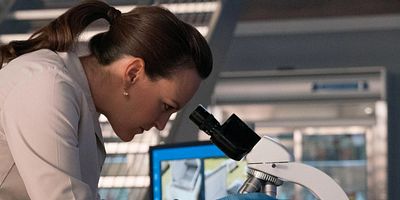 Poster der Serie Half-Life & Havana Nights