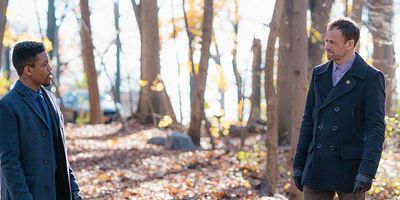 Poster der Serie Crowned Clown, Downtown Brown