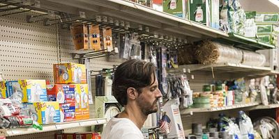 Poster der Serie All the Things