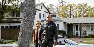 Poster der Serie Zurück zur Natur