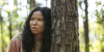 Poster der Serie Ache