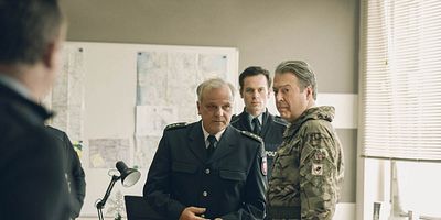 Poster der Serie The Turtle and the Stick