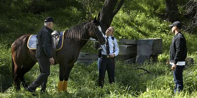 Poster der Serie Der Pferdeflüsterer