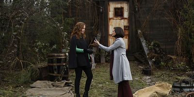 Poster der Serie Where Bluebirds Fly