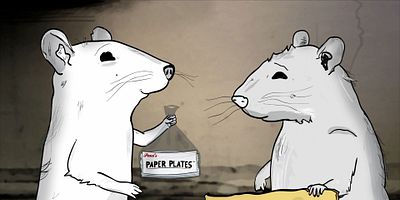 Poster der Serie Pigeons (2)