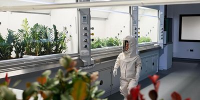 Poster der Serie The Pyramid at the End of the World