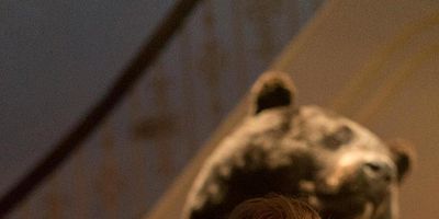 Poster der Serie The Law of Inevitability