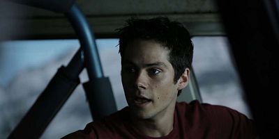 Poster der Serie Codominance