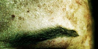 Poster der Serie Dare