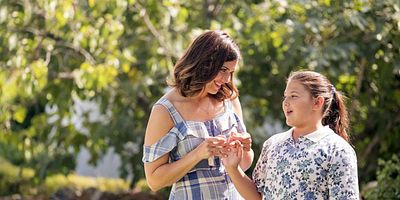 Poster der Serie Brüder