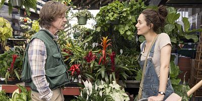 Poster der Serie Der heilige Francis