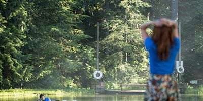 Poster der Serie And The Disenchanted Forest