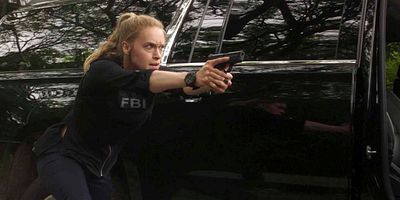 Poster der Serie Tiger