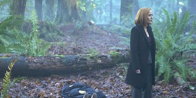 Poster der Serie Familiar