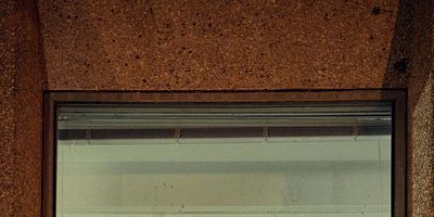 Poster der Serie Ihn werde ich später los