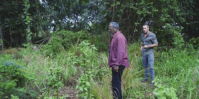 Poster der Serie Aohe mea make i ka hewa; make no i ka mihi ole